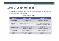세계기업집단의 특성 -유럽국가 및 프랑스의 기업집단 특성-8