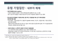 세계기업집단의 특성 -유럽국가 및 프랑스의 기업집단 특성-10