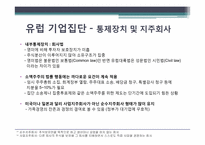 세계기업집단의 특성 -유럽국가 및 프랑스의 기업집단 특성-11