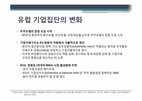세계기업집단의 특성 -유럽국가 및 프랑스의 기업집단 특성-13