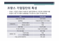세계기업집단의 특성 -유럽국가 및 프랑스의 기업집단 특성-15