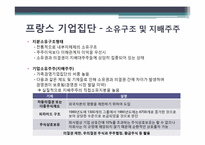 세계기업집단의 특성 -유럽국가 및 프랑스의 기업집단 특성-16