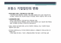 세계기업집단의 특성 -유럽국가 및 프랑스의 기업집단 특성-19