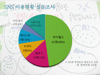 [미디어] SNS(Social Network Service)-7