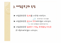 새집증후군 레포트-6