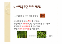 새집증후군 레포트-13
