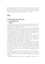 [전자상거래]전자상거래의 향후 전망 및 추진과제-2