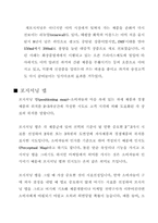 [포지셔닝]기업이 행하는 포지셔닝 전략-9