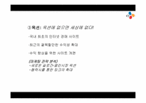 [인터넷마케팅]인터넷 마케팅 사례 -인터넷 쇼핑몰 CJmall-10