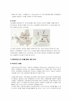 [서비스경영]`이뽀뽀따뮤스` 패밀리레스토랑 마케팅전략-16