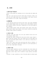 [중국진출]아미트 중국진출 상해점 마케팅 및 인사관리정책 분석-2