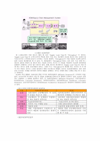 [기업경영]삼성 애니콜의 생산전략-3