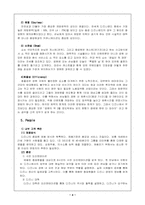 [기업분석]에버랜드와 디즈니랜드 비교분석-4