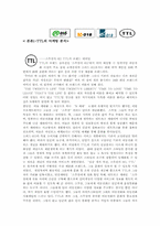 [마케팅전략]TTL과 Na의 마케팅 전략분석-5