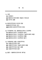 [졸업]정보화 시대의 참여민주주의--텔레데모크라시의 고찰-2