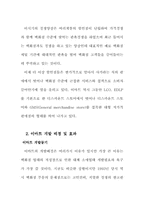 [경영전략]이마트 할인점의 새로운 경영전략-5