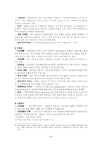 [마케팅전략]초고속인터넷 메가패스 경영전략-6