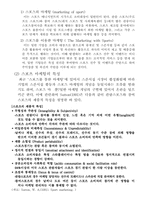 [스포츠마케팅]월드컵을 통한 성공적인 스포츠 마케팅-4