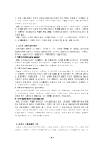 [마케팅전략]기업의 스포츠 스폰서쉽-6