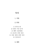 [국제경영]벤처기업 아이리버`I-River`의 해외진출 전략-2
