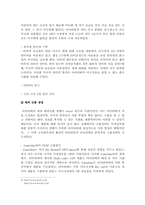 [국제경영]벤처기업 아이리버`I-River`의 해외진출 전략-8