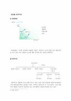 [국제경영]벤처기업 아이리버`I-River`의 해외진출 전략-10