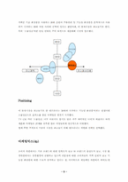 [마케팅관리]제일제당 엔프라니 화장품 마케팅분석-5