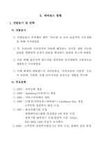 [기업분석]삼성에버랜드 관광개발의 문제점 및 개선방향-13