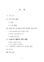 [기업브랜드]2002월드컵과 우리나라 기업브랜드 이미지의 육성방안-2