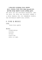 [기업경영] 인터넷사업계획서-6