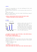 [기업과사회]파파이스 사업 및 시장조사-1