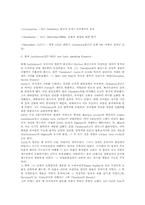 [서양중세사]비잔티움 제국과 이슬람-2
