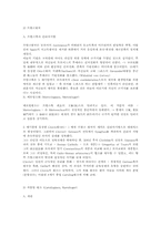 [라틴기독교]라틴기독교문명권의 형성: 프랑크왕국-2