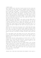 [라틴기독교]라틴기독교문명권의 형성: 프랑크왕국-5