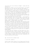 [라틴기독교]라틴기독교문명권의 형성: 프랑크왕국-6