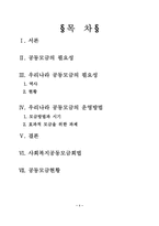한국공동모금의 현실과 대응-2