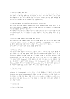 [운영체제]윈도우 XP 운영체제의 기능, 특징, 문제점 및 향후 발전방향-5