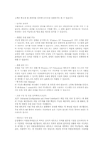 [운영체제]윈도우 XP 운영체제의 기능, 특징, 문제점 및 향후 발전방향-8