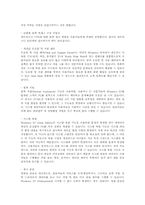 [운영체제]윈도우 XP 운영체제의 기능, 특징, 문제점 및 향후 발전방향-9