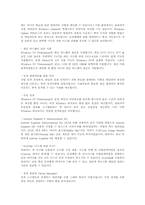 [운영체제]윈도우 XP 운영체제의 기능, 특징, 문제점 및 향후 발전방향-12