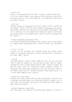 [운영체제]윈도우 XP 운영체제의 기능, 특징, 문제점 및 향후 발전방향-13