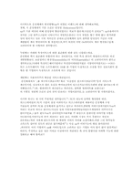 [운영체제]윈도우 XP 운영체제의 기능, 특징, 문제점 및 향후 발전방향-19