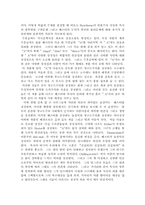 [영문학 독후감]주홍글씨를 읽고-4