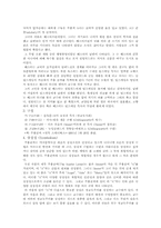 [영문학]주홍글씨의 상징성 분석-3
