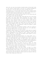 [영문학]주홍글씨의 상징성 분석-4