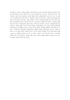 [신의주경제특구]신의주 경제특구에 관한 조사-5