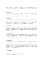 [글로벌경영]글로벌기업의 현지화 전략-13