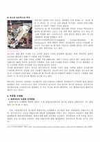 [국제경영]포스코의 현지화 전략과 방향-8