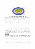 [국제경영]해외진출전략과 사례-현대자동차의 인도 현지화전략,소니의 현지화 전략-10