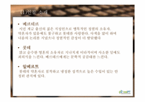 [문학]`젊은 베르테르의 슬픔` 분석-4